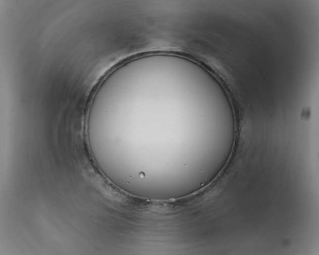 X0000110671220200906261249