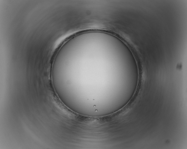 X0000110671222200906261249