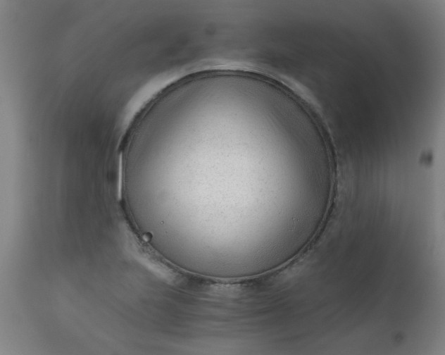 X0000110671223200906261249