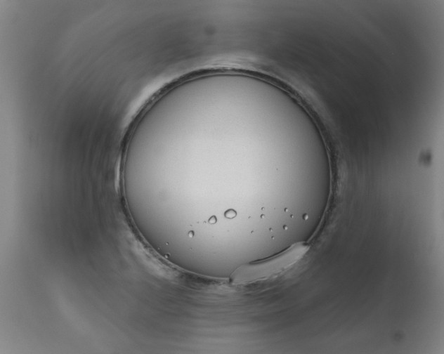 X0000110671224200906261249