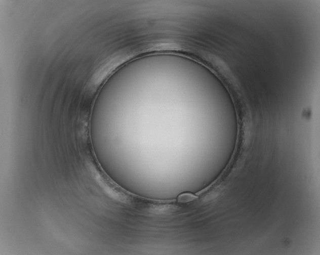 X0000110671225200906261249
