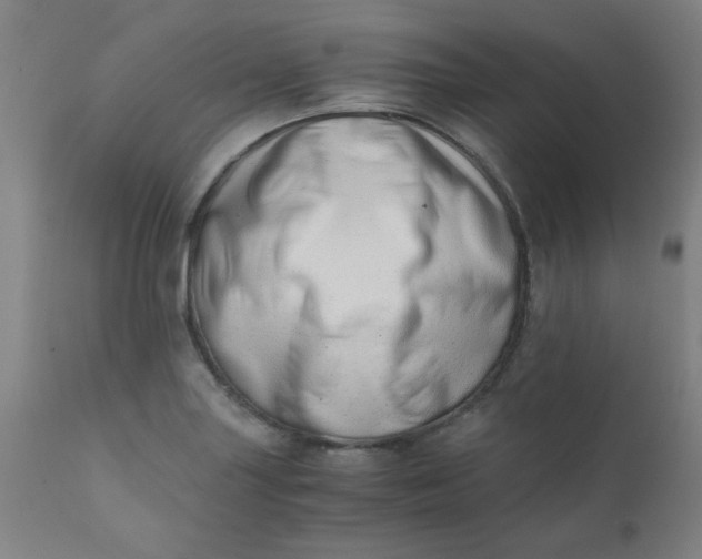 X0000110671227200906261250
