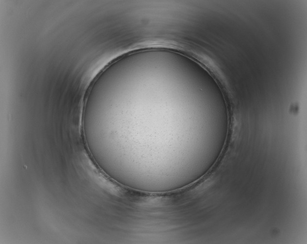 X0000110671228200906261250