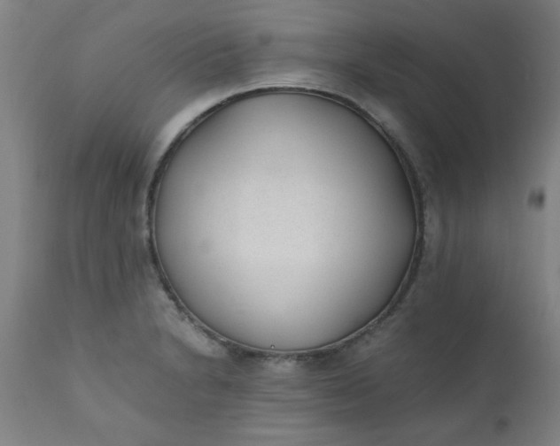 X0000110671230200906261250