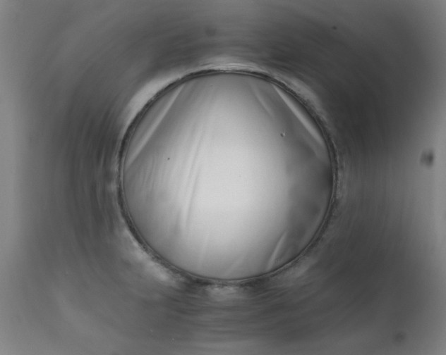 X0000110671231200906261250