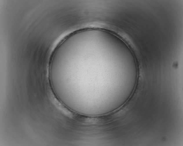 X0000110671232200906261250