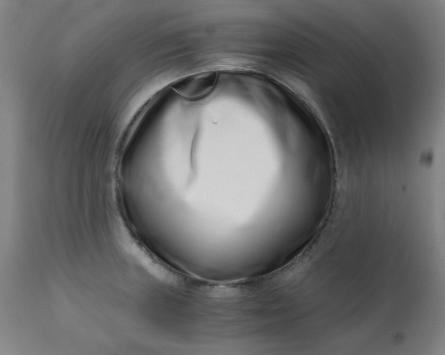X0000110671235200906261250