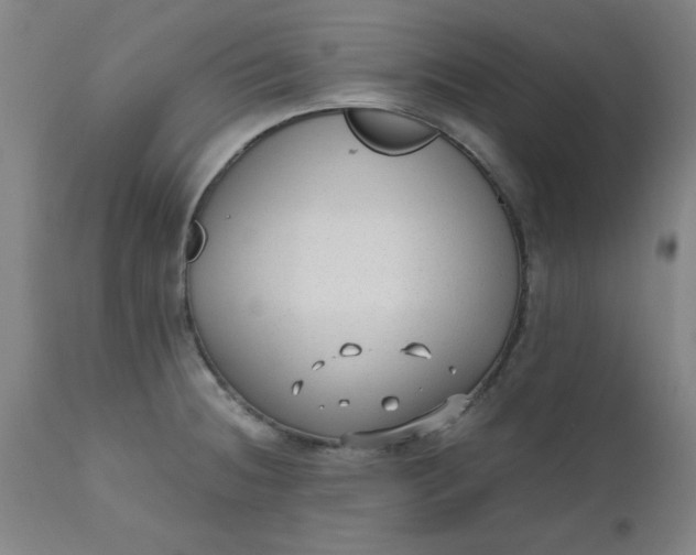 X0000110671236200906261250