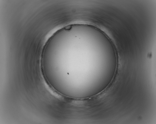 X0000110671237200906261250