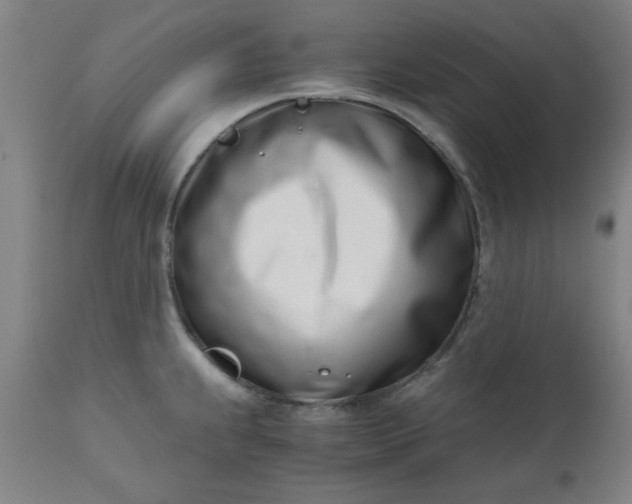 X0000110671239200906261250
