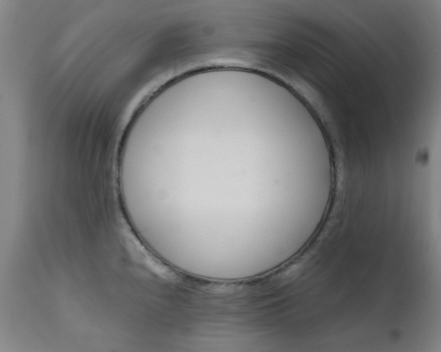X0000110671240200906261250