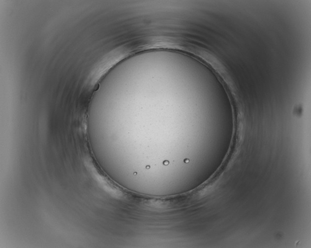 X0000110671241200906261250