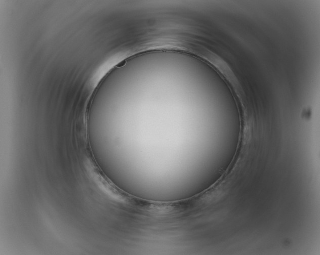 X0000110671242200906261250