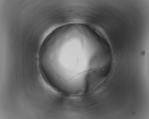 X0000110671243200906261250