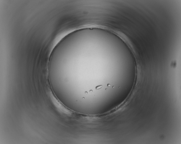 X0000110671244200906261250