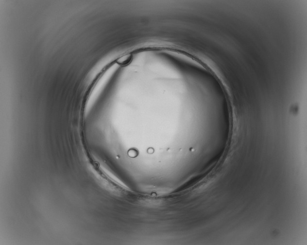 X0000110671245200906261250