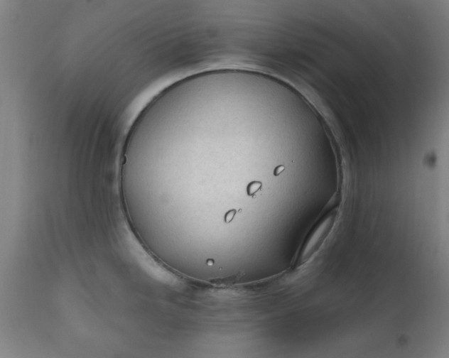 X0000110671246200906261250
