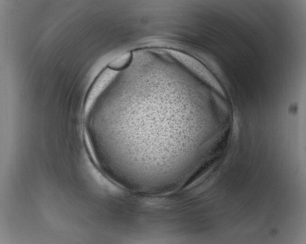X0000110671247200906261250