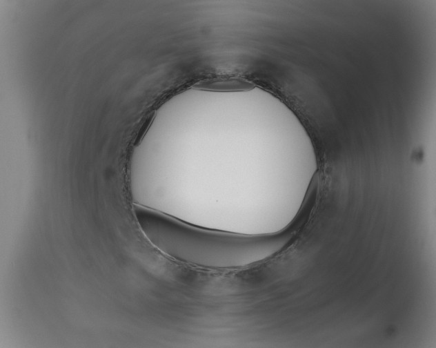 X0000110671249200906261249