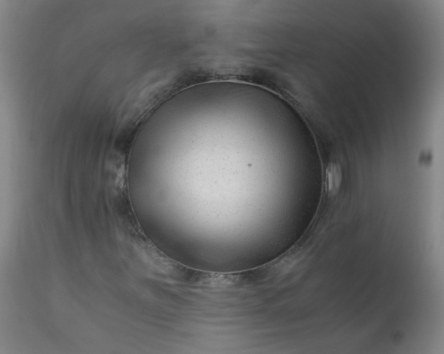 X0000110671251200906261249