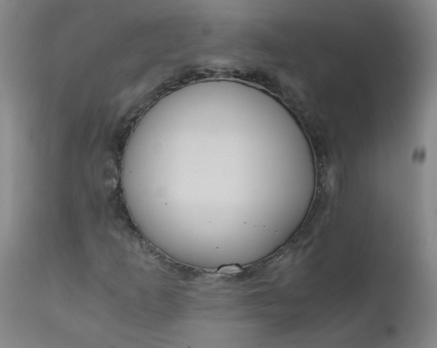 X0000110671253200906261249
