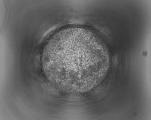 X0000110671254200906261249