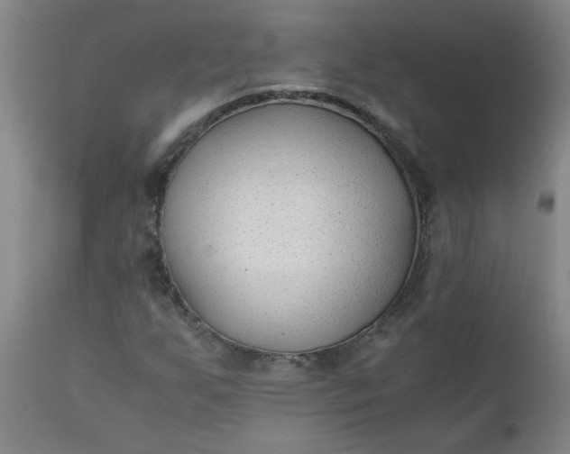 X0000110671255200906261249