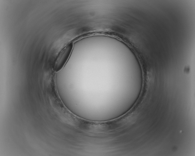 X0000110671257200906261249