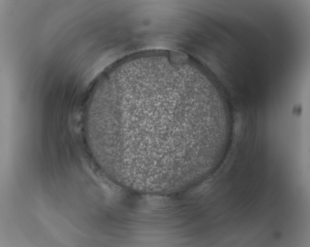 X0000110671258200906261249