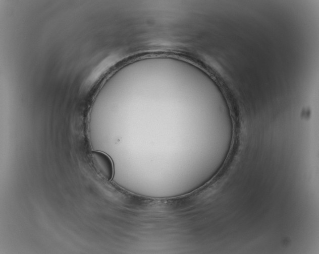X0000110671259200906261249