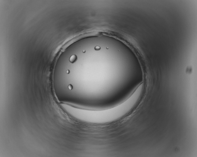 X0000110671260200906261249