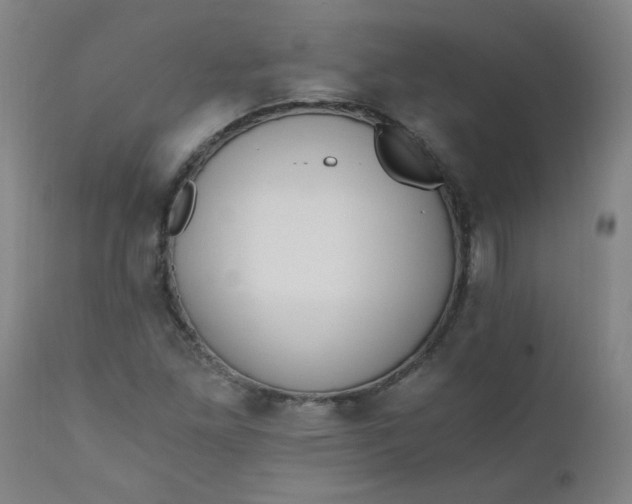 X0000110671261200906261249
