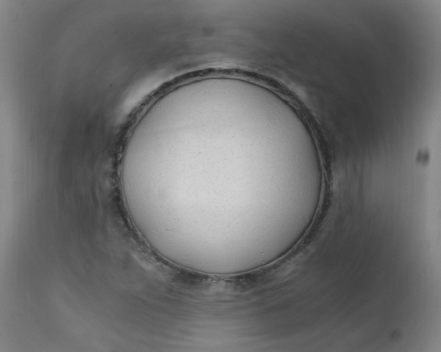 X0000110671263200906261249