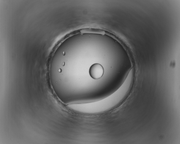 X0000110671264200906261249