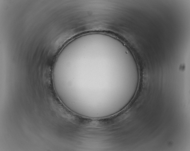 X0000110671265200906261249