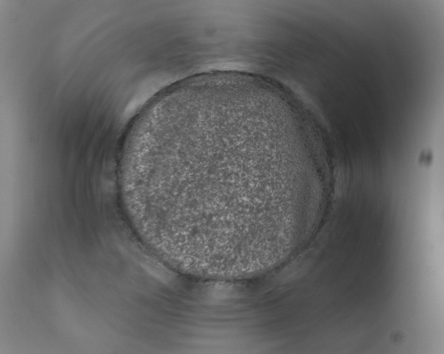 X0000110671266200906261249