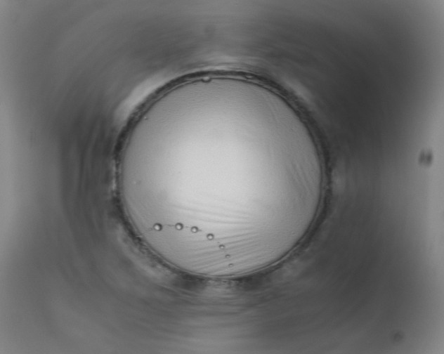 X0000110671267200906261249