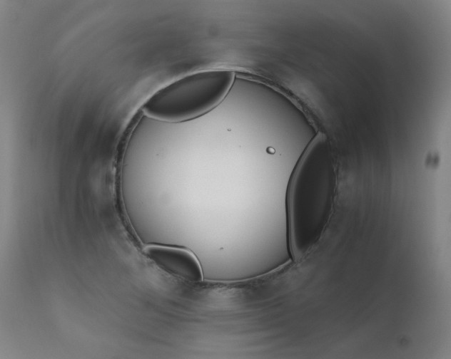 X0000110671268200906261249