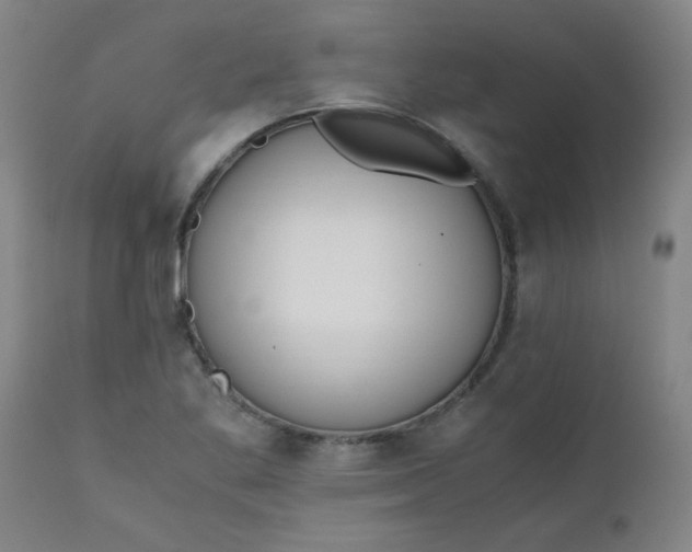 X0000110671269200906261249