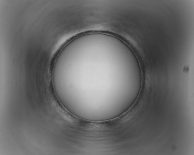 X0000110671270200906261249