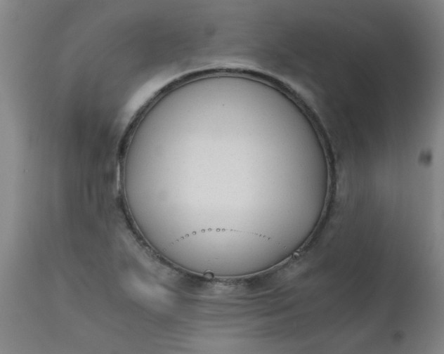X0000110671271200906261249