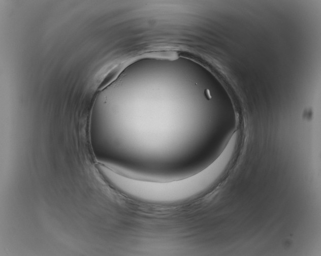 X0000110671273200906261249