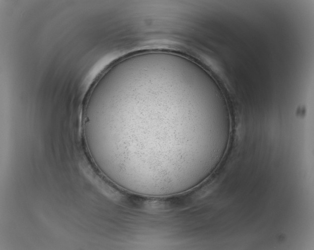 X0000110671275200906261249
