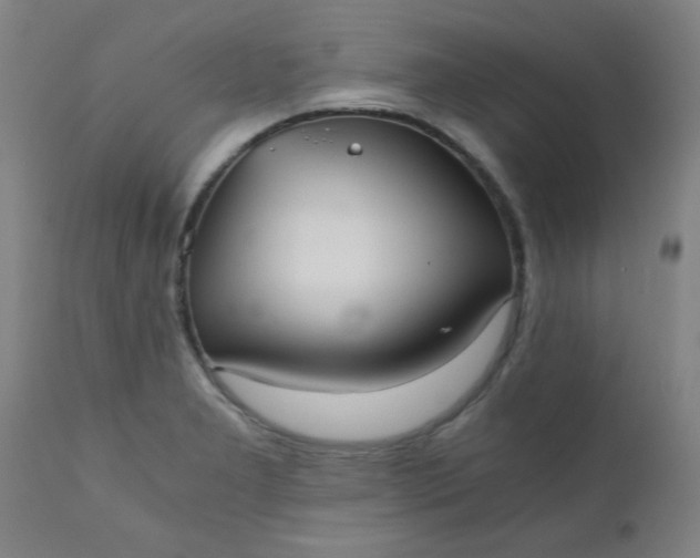 X0000110671277200906261249