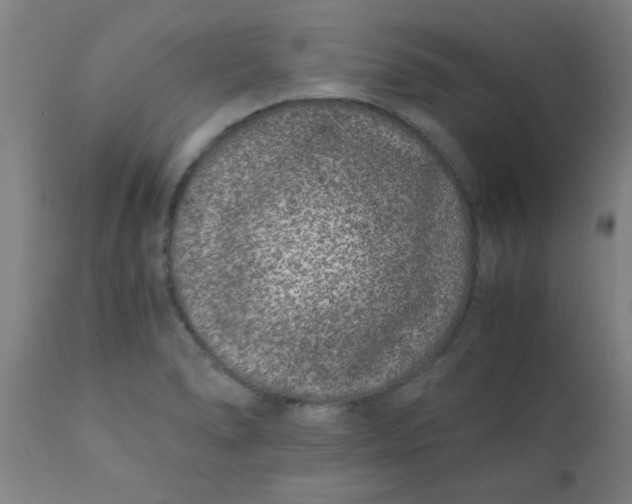 X0000110671278200906261249