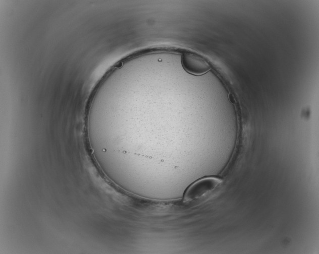 X0000110671279200906261249