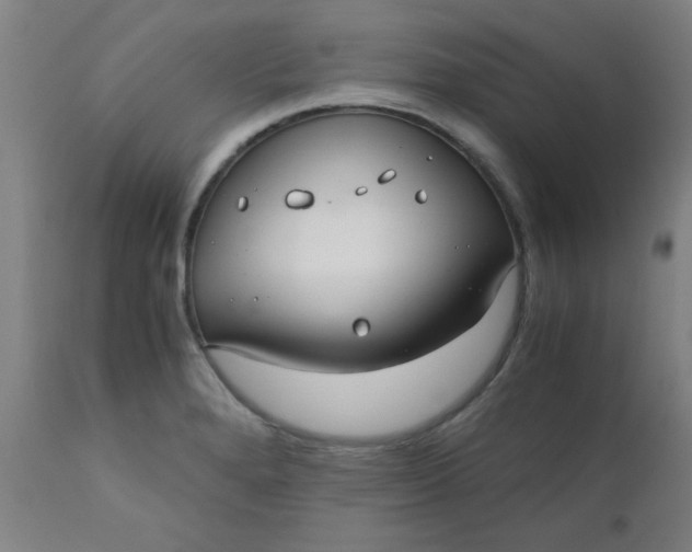 X0000110671280200906261249