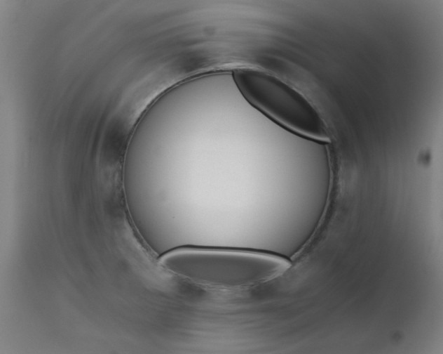 X0000110671281200906261249