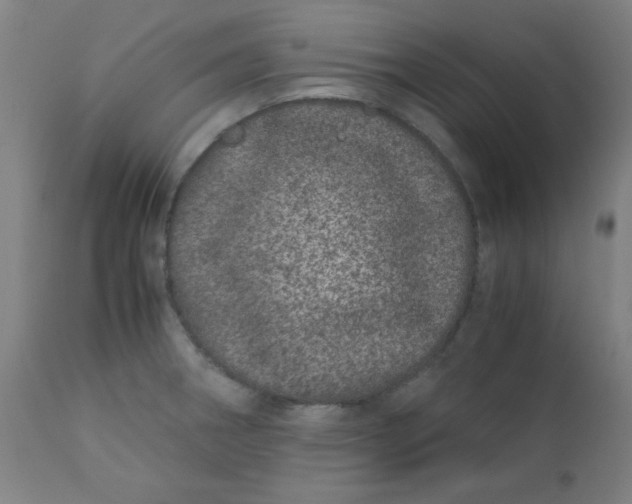 X0000110671282200906261249