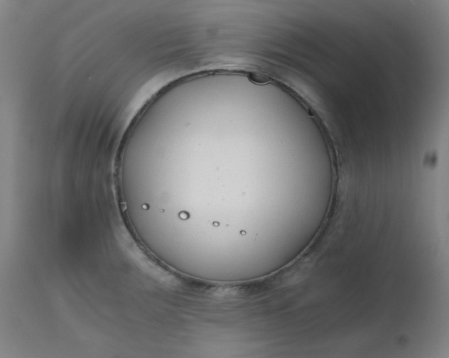 X0000110671283200906261249
